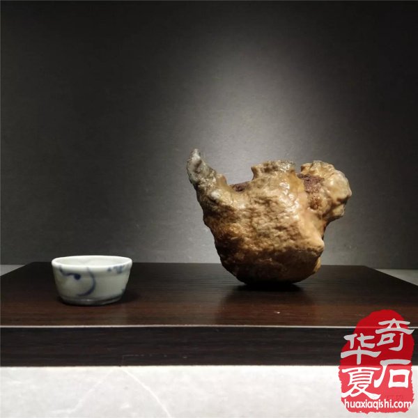 银川石展|十里河奇石花卉城送展作品
