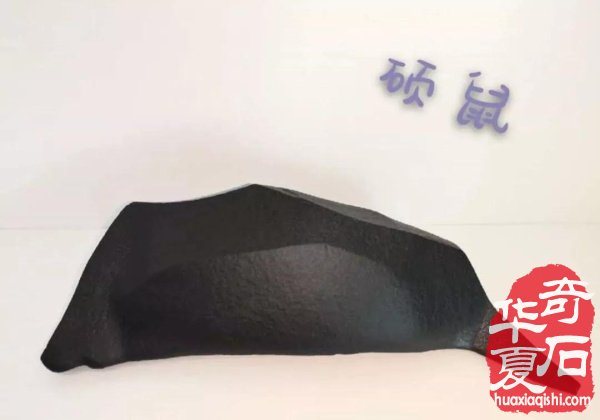 银川石展|十里河奇石花卉城送展作品