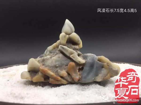 [关注]“新疆赏石四联展 谱写丝路新画卷”