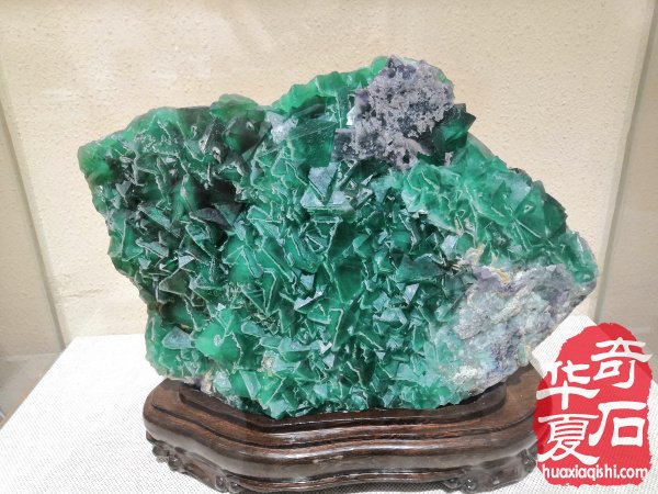 河南第一家校园地质赏石博物馆落户郑州高新区实验中学
