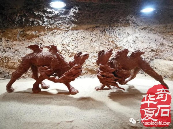 为石商，多请买家！ 《小鸡出壳》的故乡 6月9日有大展！