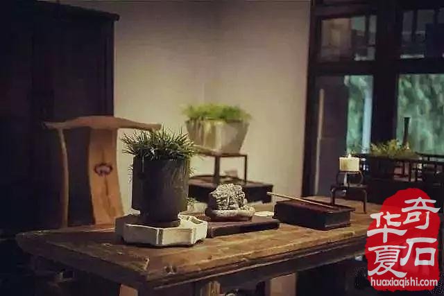 为什么藏家将赏石珍品称为“金不换”？