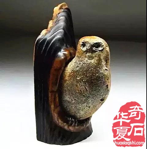 为什么藏家将赏石珍品称为“金不换”？