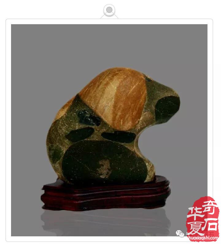 天画《九龙图》 组图