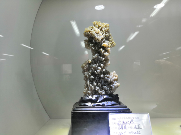 平顶山市奇石宝玉石文化艺术博览金奖作品