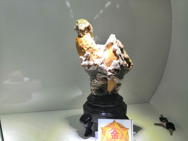 平顶山市奇石宝玉石文化艺术博览金奖作品