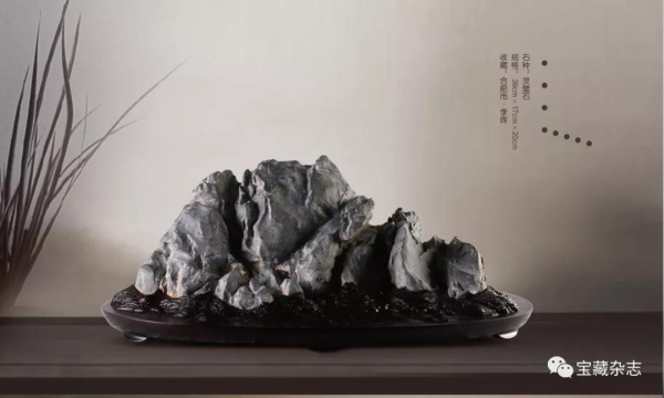 赏石的“形质色纹”与“瘦皱漏透” 组图