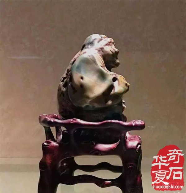 赏鉴自然奇美 心追石德君子