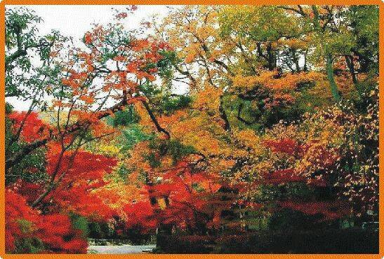 洛阳市赏石文化主题公园（南关公园）这样提升改造如何