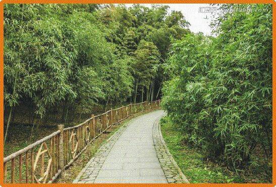 洛阳市赏石文化主题公园（南关公园）这样提升改造如何
