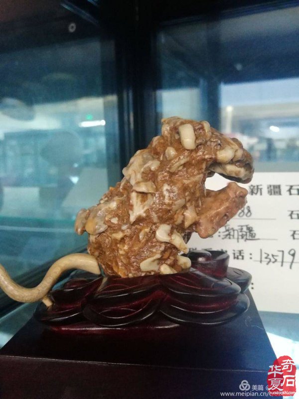 新疆展会全方位、多层次、多视角、系统化地呈现赏石文化