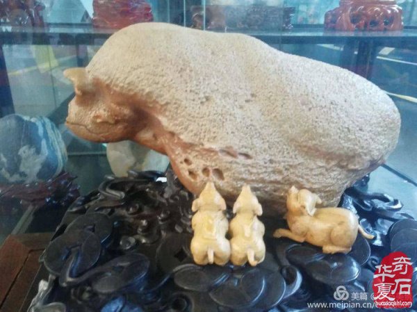 新疆展会全方位、多层次、多视角、系统化地呈现赏石文化
