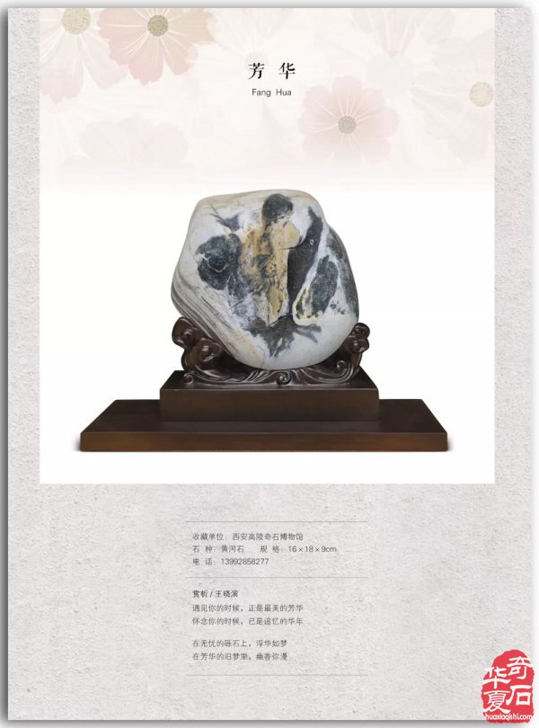 真实与自信——《中国图纹石》2019-3精彩预览