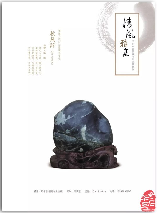 真实与自信——《中国图纹石》2019-3精彩预览