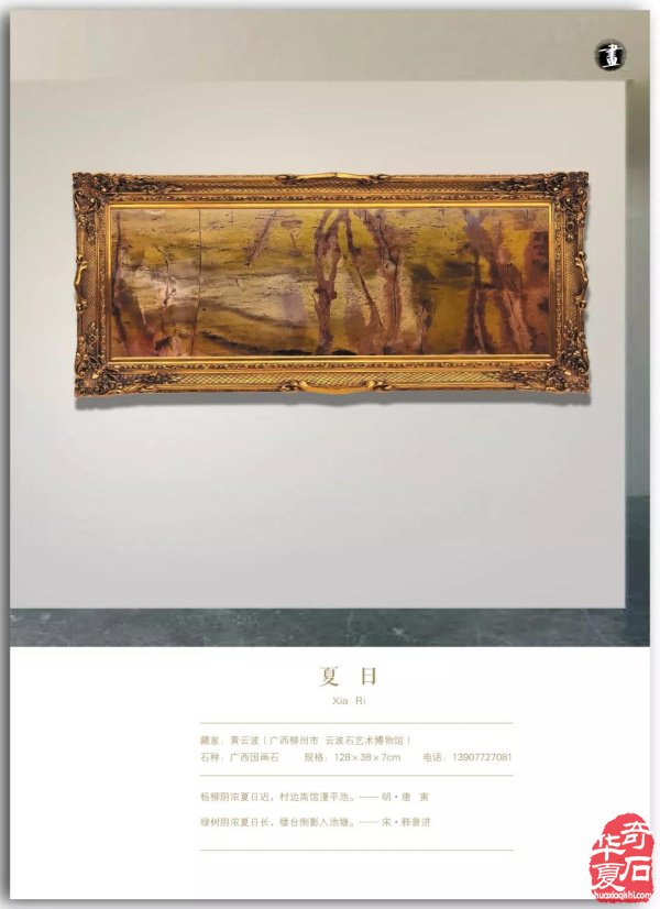 真实与自信——《中国图纹石》2019-3精彩预览