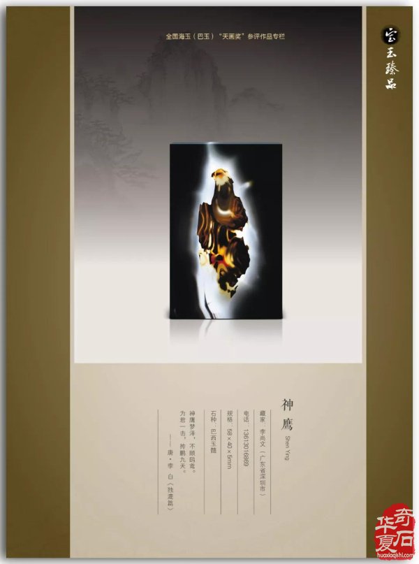 真实与自信——《中国图纹石》2019-3精彩预览