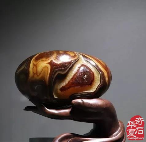 怎么就成了赏石藏石的大“傻瓜”啦