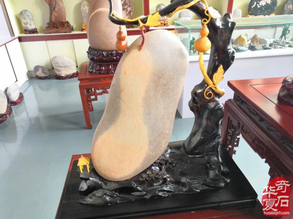 雅赏洛阳奇石玩家秦进生收藏的黄河石 图