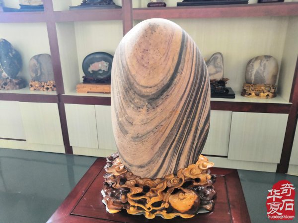雅赏洛阳奇石玩家秦进生收藏的黄河石 图