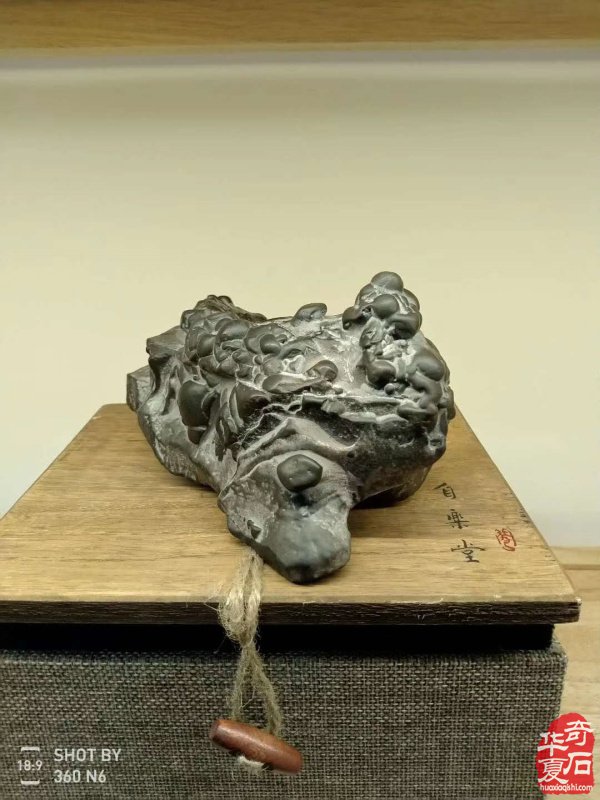 东京汴梁城秦文博的京博石园藏品欣赏