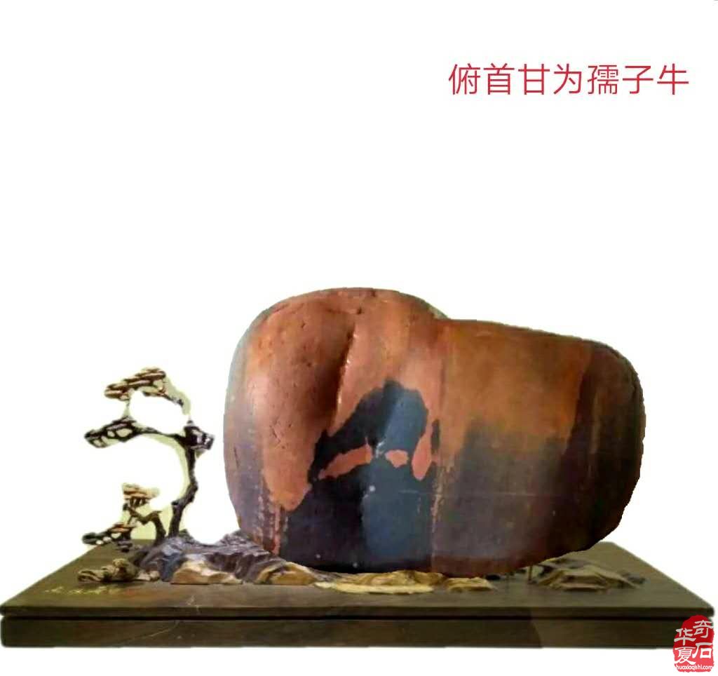 奇石金牌拍卖师王文珺收藏的洛阳黄河石