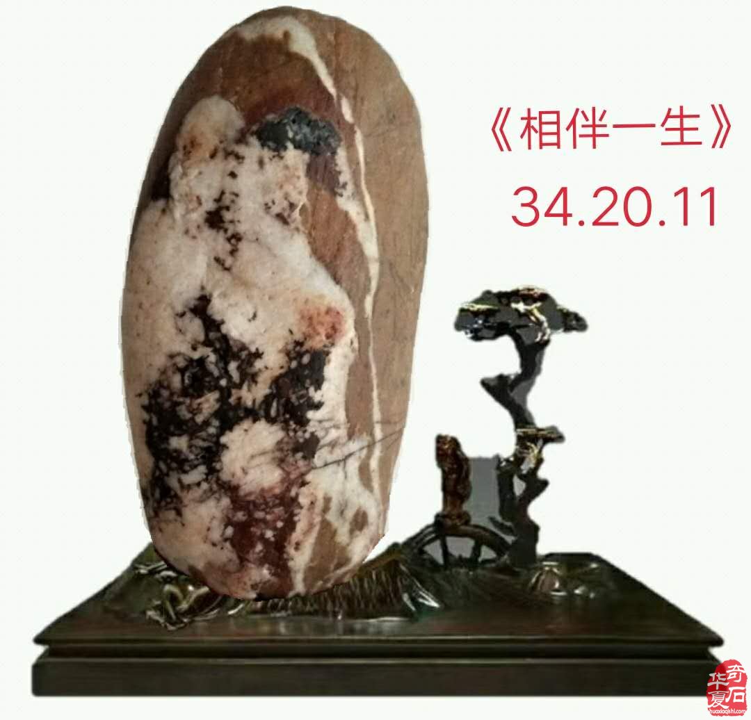 奇石金牌拍卖师王文珺收藏的洛阳黄河石