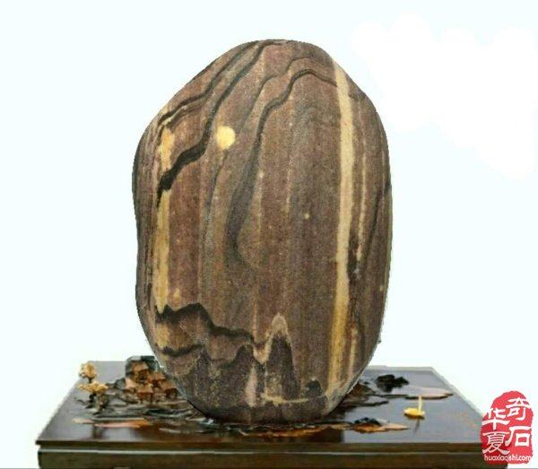 奇石金牌拍卖师王文珺收藏的洛阳黄河石