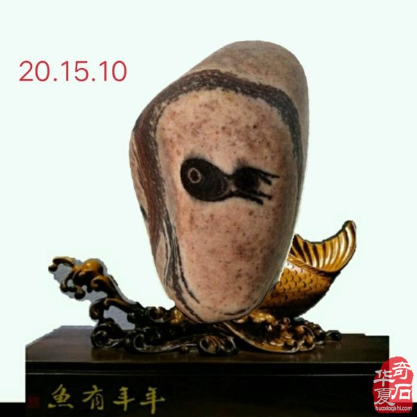 奇石金牌拍卖师王文珺收藏的洛阳黄河石
