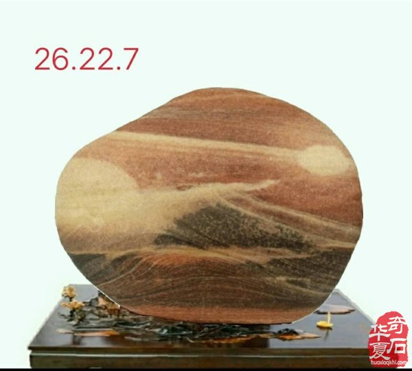 奇石金牌拍卖师王文珺收藏的洛阳黄河石