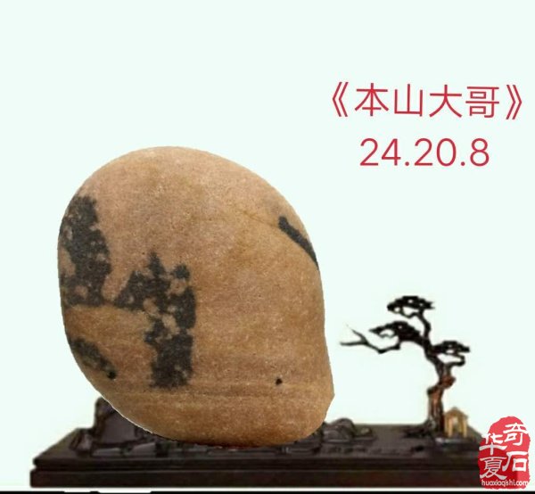 奇石金牌拍卖师王文珺收藏的洛阳黄河石