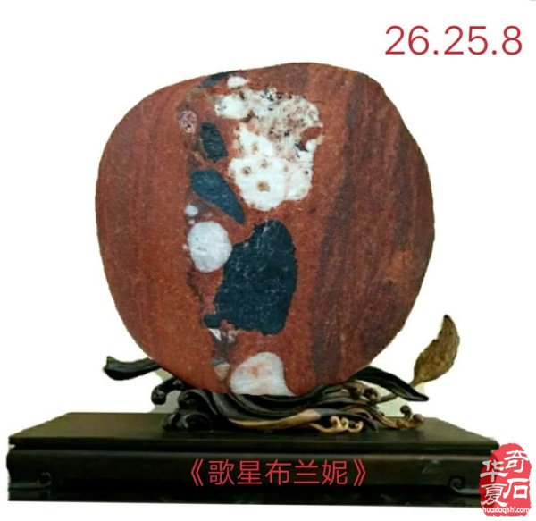 奇石金牌拍卖师王文珺收藏的洛阳黄河石