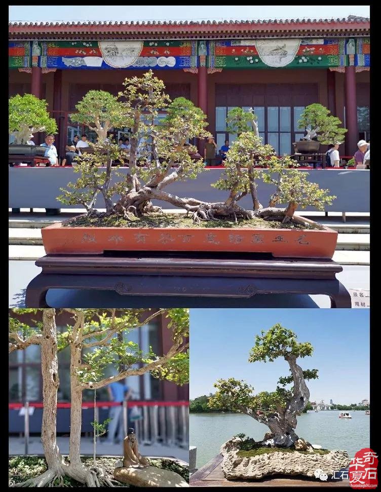 无名有尊·无位有品·闲趣天津卫（味）