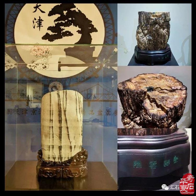 无名有尊·无位有品·闲趣天津卫（味）
