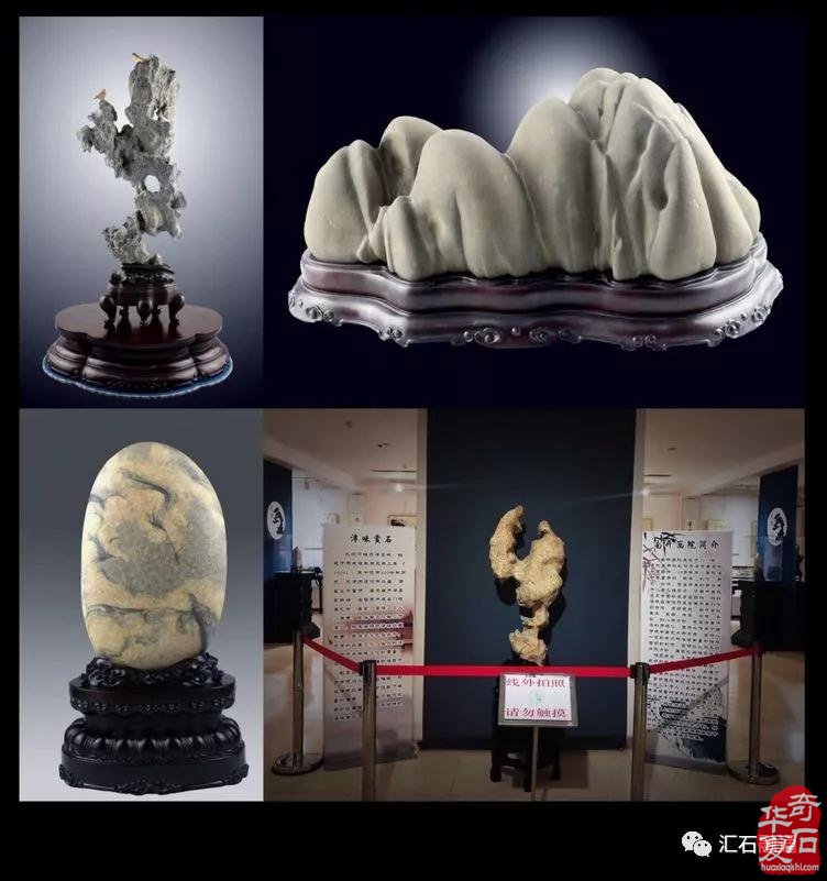 无名有尊·无位有品·闲趣天津卫（味）