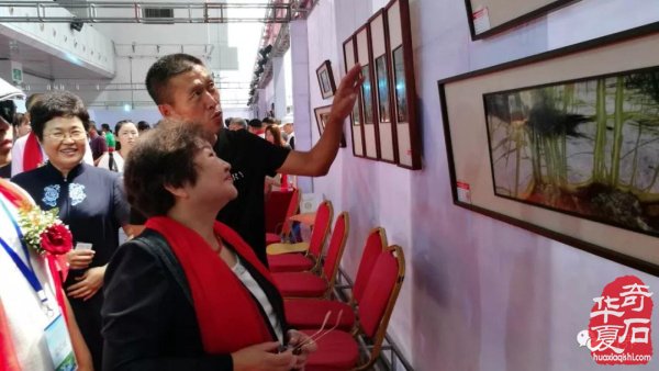 权威发布:|齐齐哈尔石博会开幕盛况特等奖展示