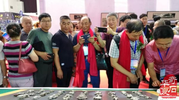 权威发布:|齐齐哈尔石博会开幕盛况特等奖展示