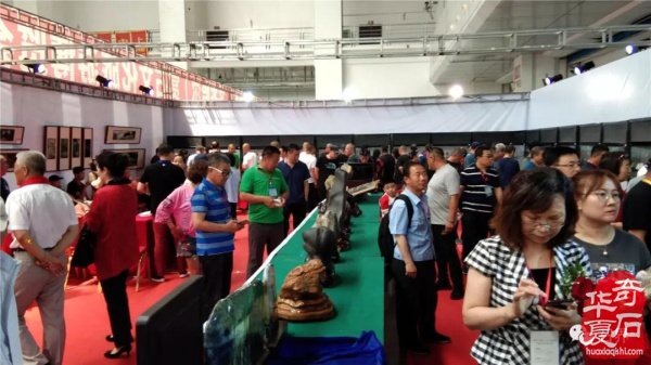 权威发布:|齐齐哈尔石博会开幕盛况特等奖展示