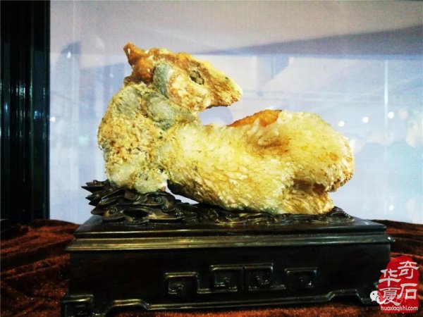 权威发布:|齐齐哈尔石博会开幕盛况特等奖展示