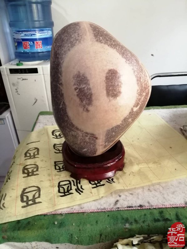 洛阳石界黄河文字石玩家王晓汉收藏心得 图