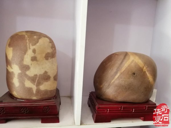 洛阳石界黄河文字石玩家王晓汉收藏心得 图