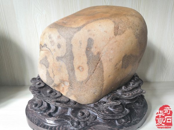 欣赏洛阳配座大师陈国朝收藏的黄河石