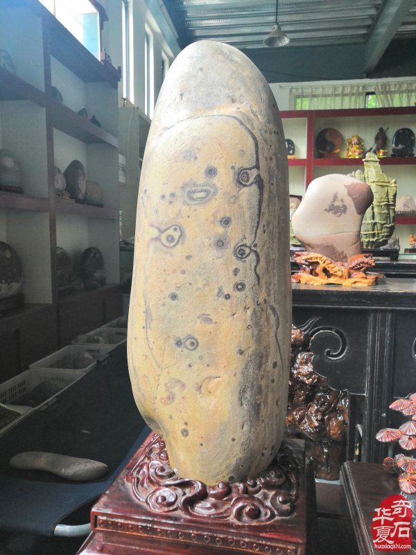 欣赏洛阳配座大师陈国朝收藏的黄河石