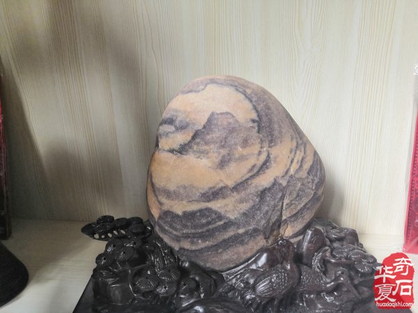 欣赏洛阳配座大师陈国朝收藏的黄河石