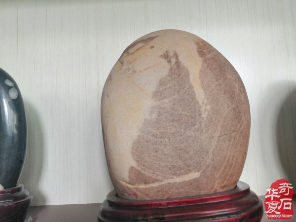欣赏洛阳配座大师陈国朝收藏的黄河石