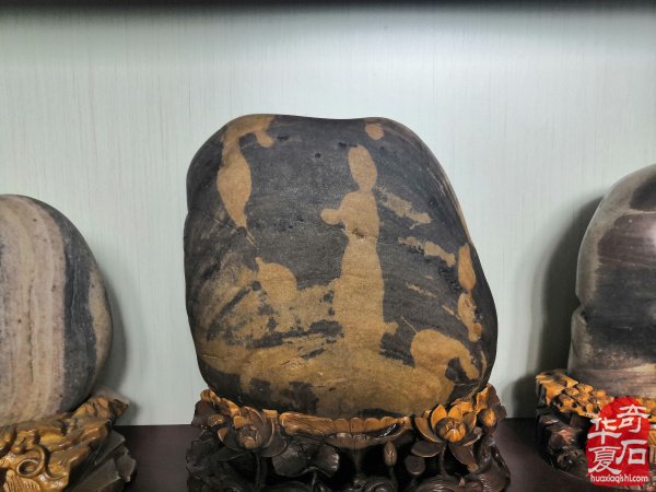 欣赏洛阳配座大师陈国朝收藏的黄河石