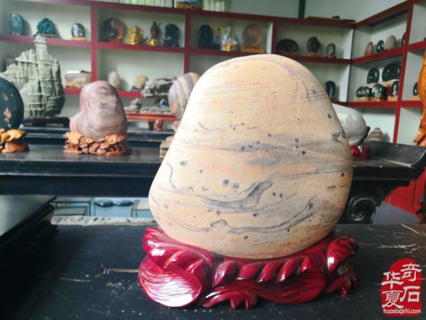 欣赏洛阳配座大师陈国朝收藏的黄河石
