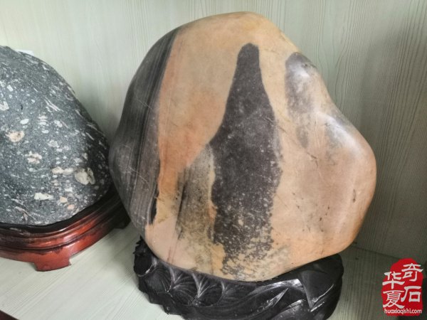 欣赏洛阳配座大师陈国朝收藏的黄河石
