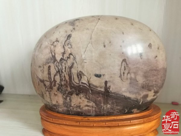 欣赏洛阳配座大师陈国朝收藏的黄河石