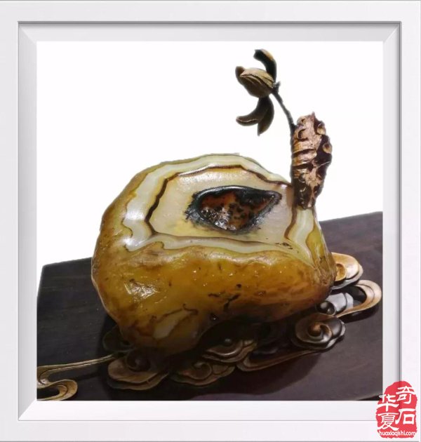 买自己喜欢的石头，你肯定不会后悔！