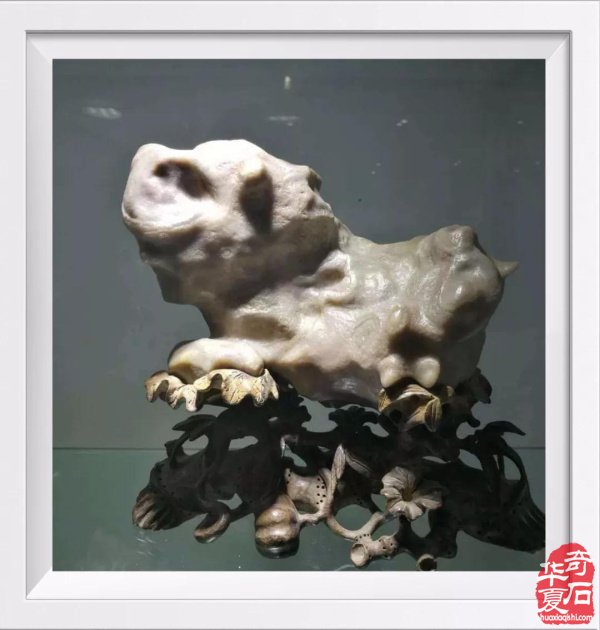 买自己喜欢的石头，你肯定不会后悔！